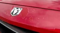 Clear Coat Spot Repair Guide