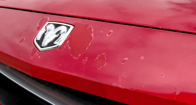 Clear Coat Spot Repair Guide
