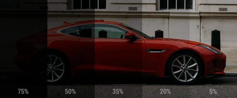 Tint levels compared in Kentucky.