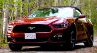 Massachusetts Tint Law