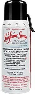 Sea Foam engine cleaner