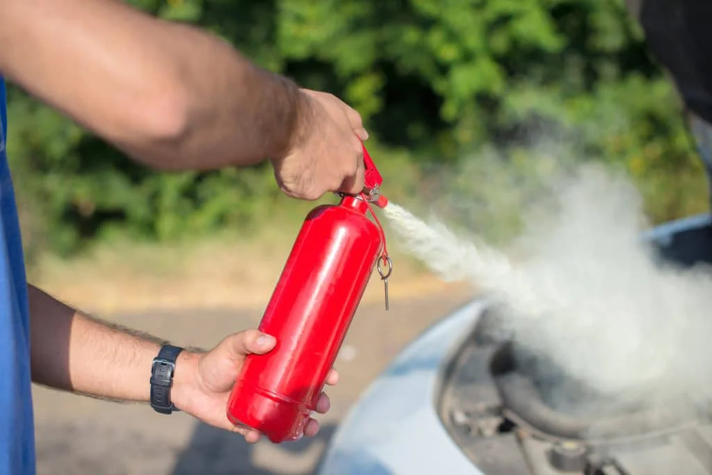 Dry chemical extinguisher
