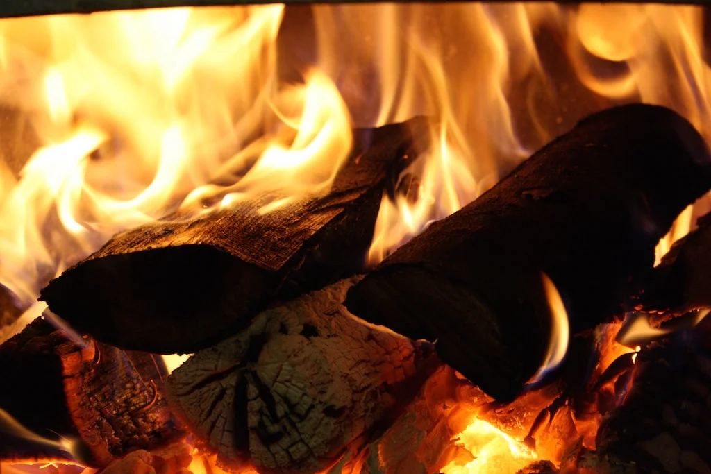 Wooden logs on fire