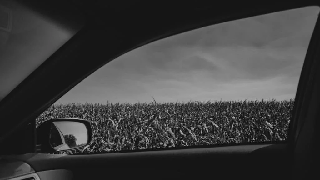 View out of a tinted car window