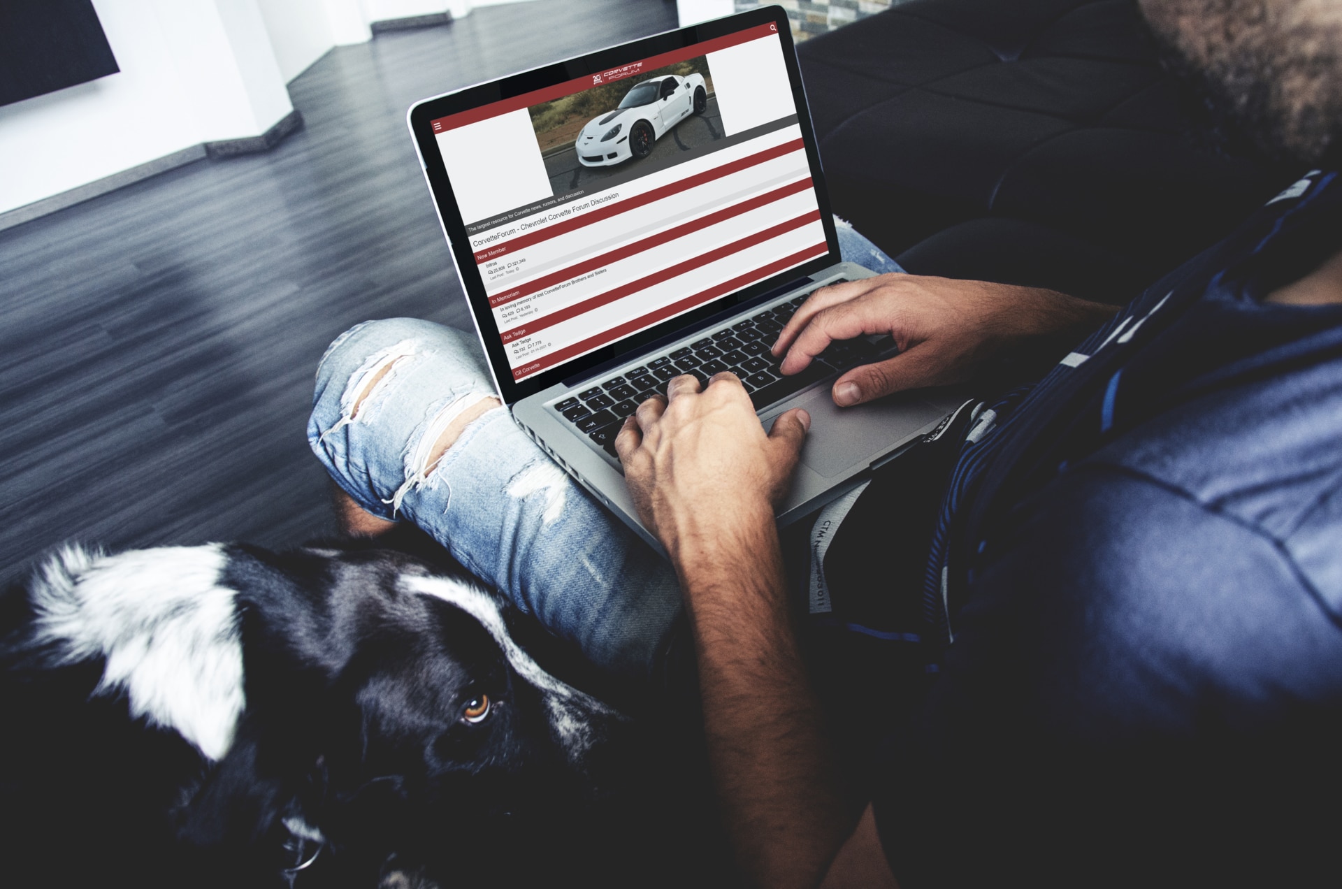 Best Car Forums: The Most Active Communities Listed | Low Offset