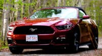 Massachusetts Tint Law